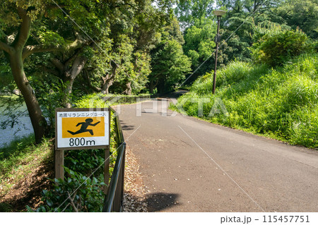 横浜市鶴見区の神奈川県立三ツ池公園 115457751