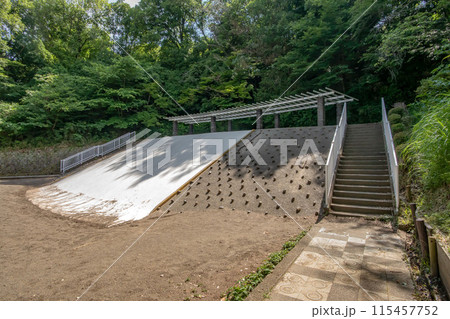 横浜市鶴見区の神奈川県立三ツ池公園 横浜市鶴見区の神奈川県立三ツ池公園 115457752