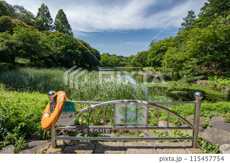 横浜市鶴見区の神奈川県立三ツ池公園 115457754