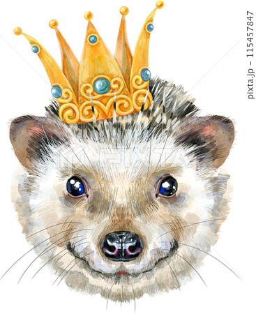 Watercolor portrait of a hedgehog in a golden crown Watercolor portrait of a hedgehog in a golden crown 115457847