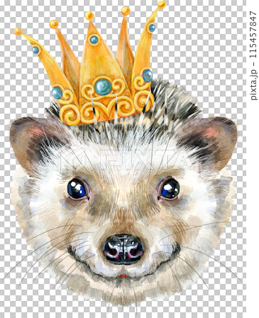 Watercolor portrait of a hedgehog in a golden crown Watercolor portrait of a hedgehog in a golden crown 115457847