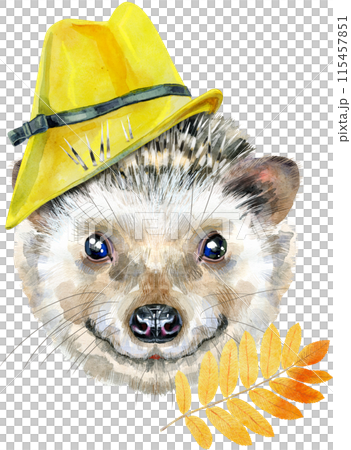 Watercolor portrait of a hedgehog in yellow hat 115457851