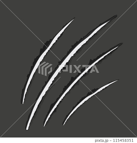 Scratch mark claw trace wild animal nails scratches textured torn paper edge on dark background. Fancy cat, tiger, lion paw trace Scratch mark claw trace wild animal nails scratches textured torn paper edge on dark background. Fancy cat, tiger, lion paw trace 115458351