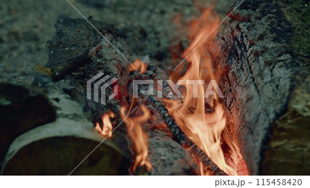 Small forest campfire. Burning firewood in campfire site. Slow motion. 115458420
