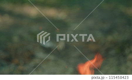 Fire orange flame isolated on green bokeh background. Glowing embers in air. Slow motion. 115458423