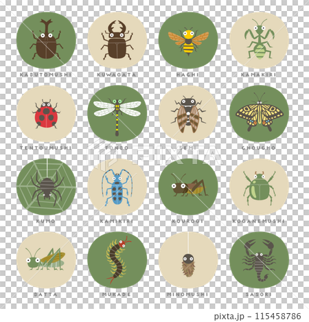 各種昆蟲 各種昆蟲 115458786