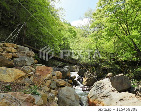 米子渓谷の米子川に架かる吊り橋 米子渓谷の米子川に架かる吊り橋 115458808