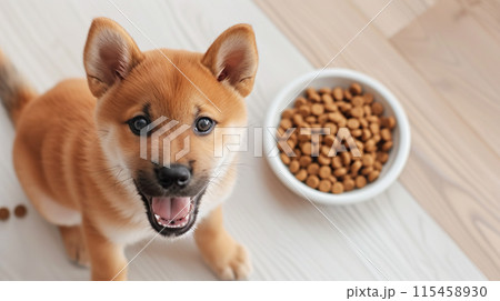 ドッグーフードの入ったお皿を前に嬉しそうな柴犬の子犬 ドッグーフードの入ったお皿を前に嬉しそうな柴犬の子犬 115458930