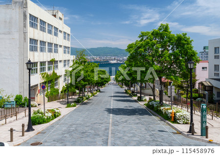 【北海道函館】八幡坂は観光で訪れたい日本の坂の一番人気 【北海道函館】八幡坂は観光で訪れたい日本の坂の一番人気 115458976