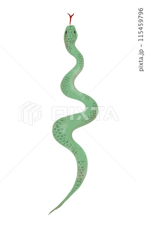 緑色の蛇の水彩画 115459796