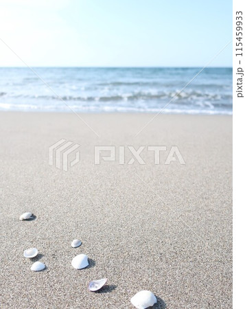 海 波打ち際 貝殻 夏イメージ 海 波打ち際 貝殻 夏イメージ 115459933