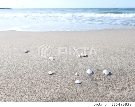 海 波打ち際 貝殻 夏イメージ 海 波打ち際 貝殻 夏イメージ 115459935
