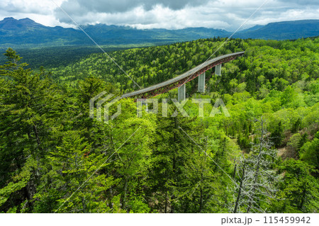 北海道絶景　新緑の三国峠 115459942