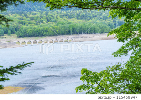 北海道観光　新緑のタウシュベツ 115459947