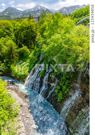 北海道絶景　初夏の白鬚の滝 115459958