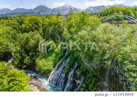 北海道絶景　初夏の白鬚の滝 115459959