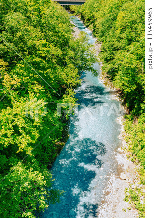 北海道絶景 初夏の美瑛川 北海道絶景 初夏の美瑛川 115459965