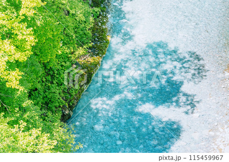 北海道絶景　初夏の美瑛川 115459967