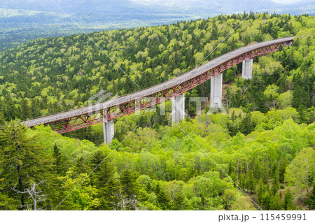 北海道絶景　新緑の三国峠 115459991