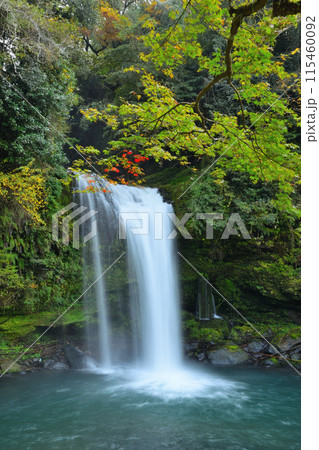 慈恩の滝 115460092