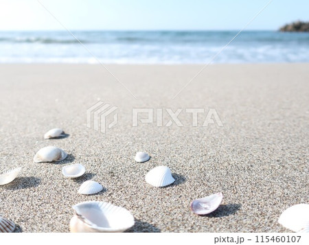 海　波打ち際　貝殻　夏イメージ 115460107