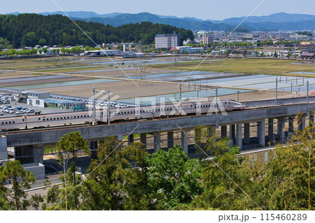 北陸新幹線　JR越前たけふ駅 115460289
