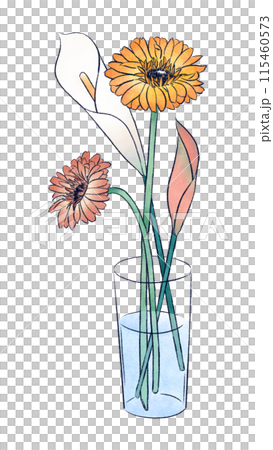 ガーベラとカラー　花の挿絵 115460573