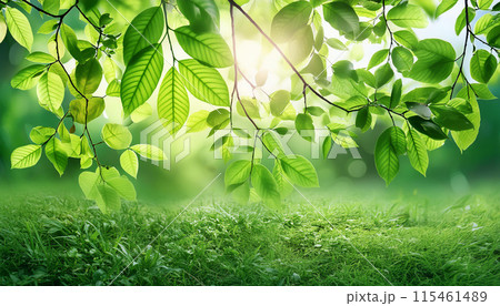 エコロジーイメージ　環境保護　新緑 115461489