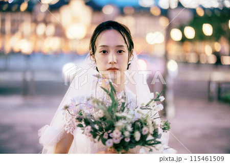 夜の東京駅と花嫁 夜の東京駅と花嫁 115461509