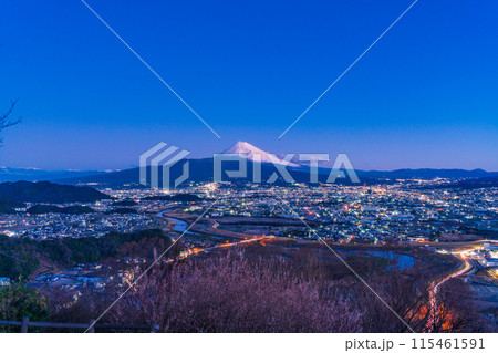 （静岡県）三島市の街灯りと夜明け前の富士山 115461591