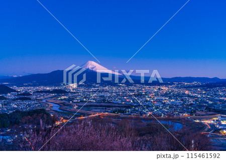 （静岡県）三島市の街灯りと夜明け前の富士山 115461592