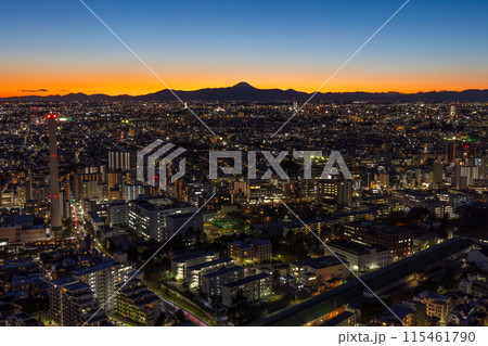 東京夜景　恵比寿ガーデンプレイスからの眺望　富士山方面 115461790