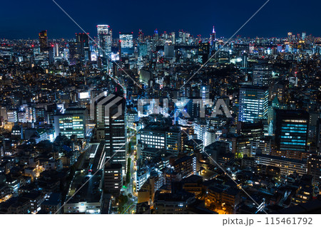 東京夜景 恵比寿ガーデンプレイスからの眺望 渋谷・新宿方面 東京夜景 恵比寿ガーデンプレイスからの眺望 渋谷・新宿方面 115461792