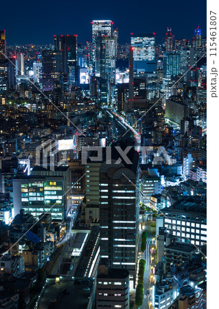 東京夜景　恵比寿ガーデンプレイスからの眺望　渋谷方面 115461807
