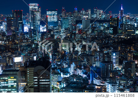 東京夜景　恵比寿ガーデンプレイスからの眺望　渋谷・新宿方面 115461808