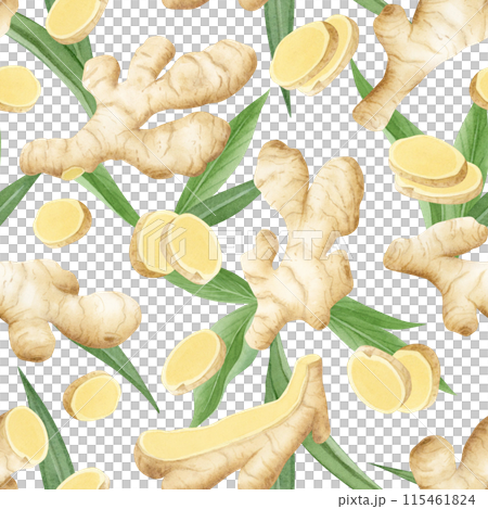 Beige ginger roots, slices and leaves watercolor seamless pattern on white. Hand drawn background with horseradish for kitchen textile, organic spicy food packaging, vegan menu or herbal tea 115461824