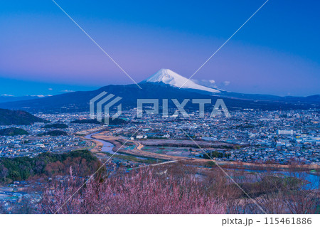 （静岡県）三島市街並みと富士山の夜明け 115461886