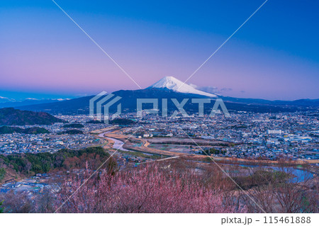 （静岡県）三島市街並みと富士山の夜明け 115461888