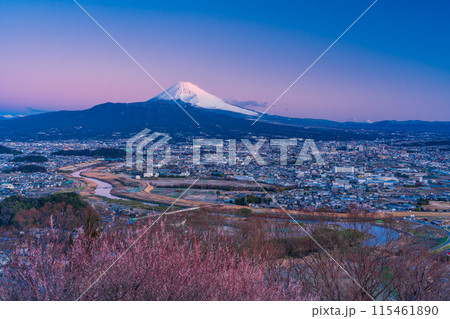 （静岡県）三島市街並みと富士山の夜明け 115461890