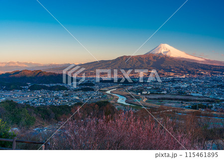 （静岡県）三島市街並みと富士山の夜明け 115461895