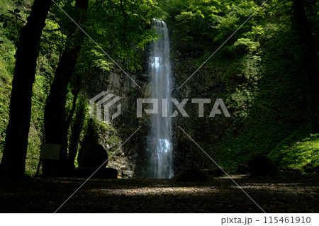 影に浮かぶ山形県の玉簾の滝 影に浮かぶ山形県の玉簾の滝 115461910