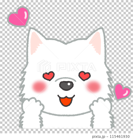 Samoyed with a dreamy expression 115461930