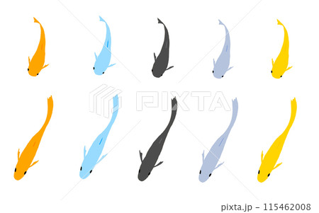 上から見たメダカ詰め合わせ 115462008