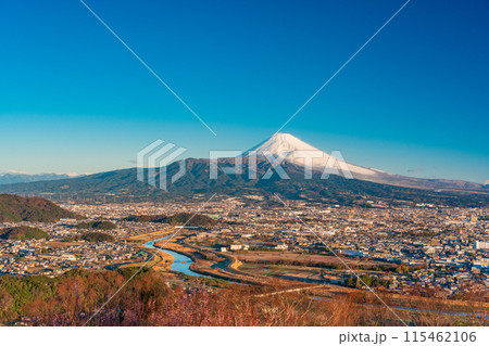 （静岡県）朝日が差し込んだ日守山から、三島市街並みと富士山 115462106