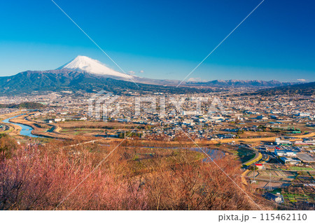 (静岡県)朝日が差し込んだ日守山から、三島市街並みと富士山 (静岡県)朝日が差し込んだ日守山から、三島市街並みと富士山 115462110