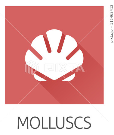 Seashell Shell Clam Mollusc Seafood Food Icon 115462412
