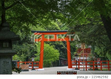 京都　下鴨神社　糺の森〜二の鳥居〜楼門 115462592