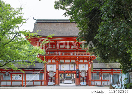 初夏の京都　下鴨神社　楼門 115462595