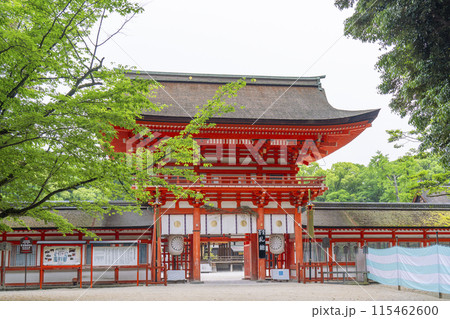 初夏の京都 下鴨神社 楼門 初夏の京都 下鴨神社 楼門 115462600