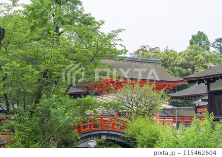 初夏の京都　下鴨神社　新緑に包まれた輪橋 115462604